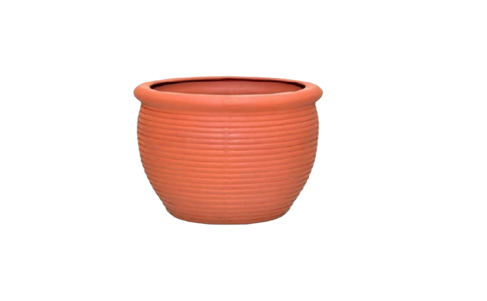Ring Planter